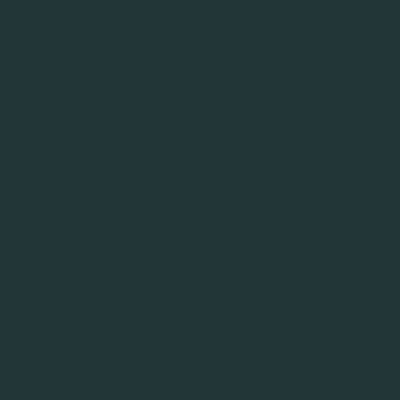 Color OLIVE/SUPERNERO