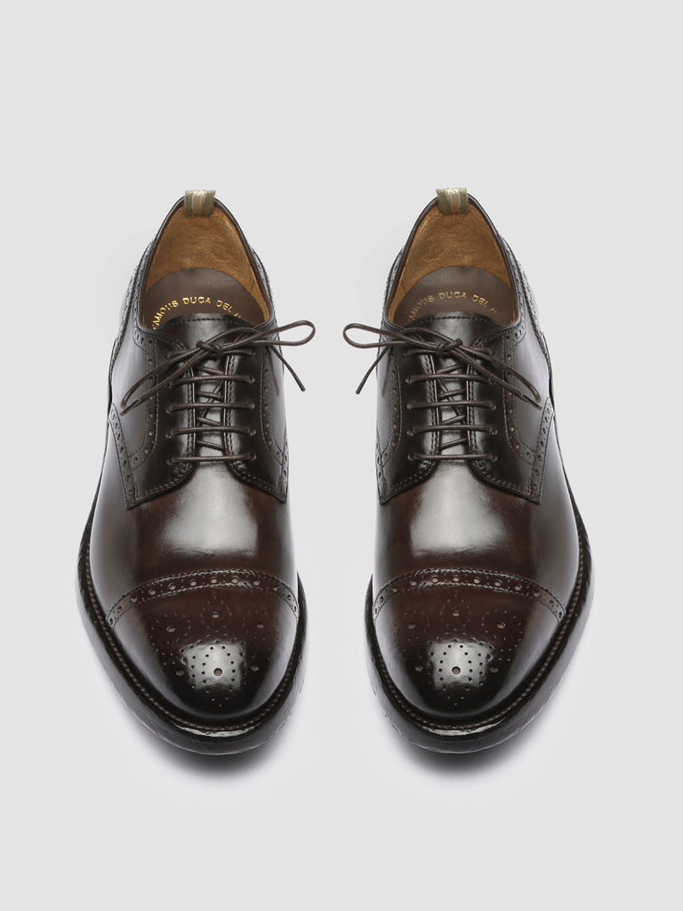 TEMPLE 003 Ebano - Brown Leather Half Brogue Derby Shoes